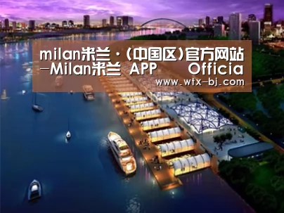 案例展示八