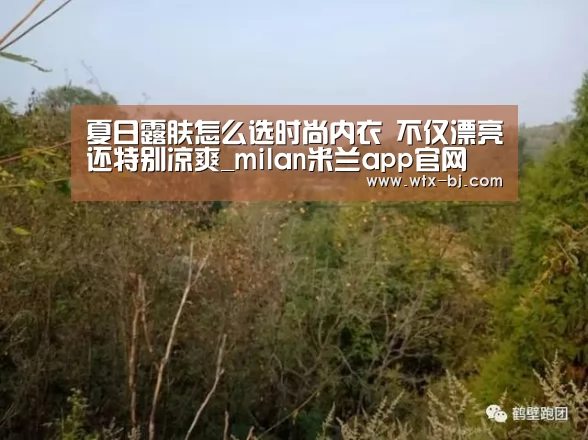 夏日露肤怎么选时尚内衣 不仅漂亮还特别凉爽_milan米兰app官网(图2) milan米兰