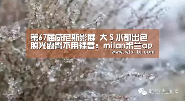 第67届威尼斯影展 大S水都出色脱光露臀不用裸替:milan米兰app官网(图1) milan米兰app官网