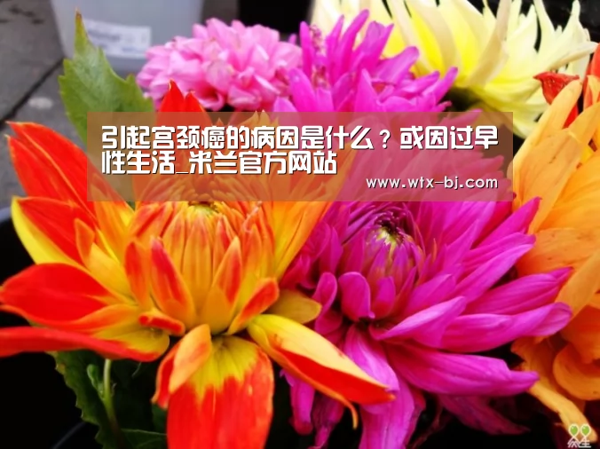 引起宫颈癌的病因是什么?或因过早性生活_米兰官方网站(图2) 米兰官方网站