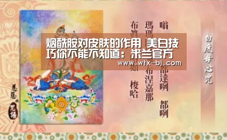 烟酰胺对皮肤的作用 美白技巧你不能不知道:米兰官方网站(图1) milan米兰