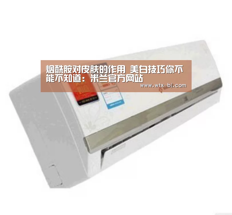 烟酰胺对皮肤的作用 美白技巧你不能不知道:米兰官方网站(图2) 米兰官方网站