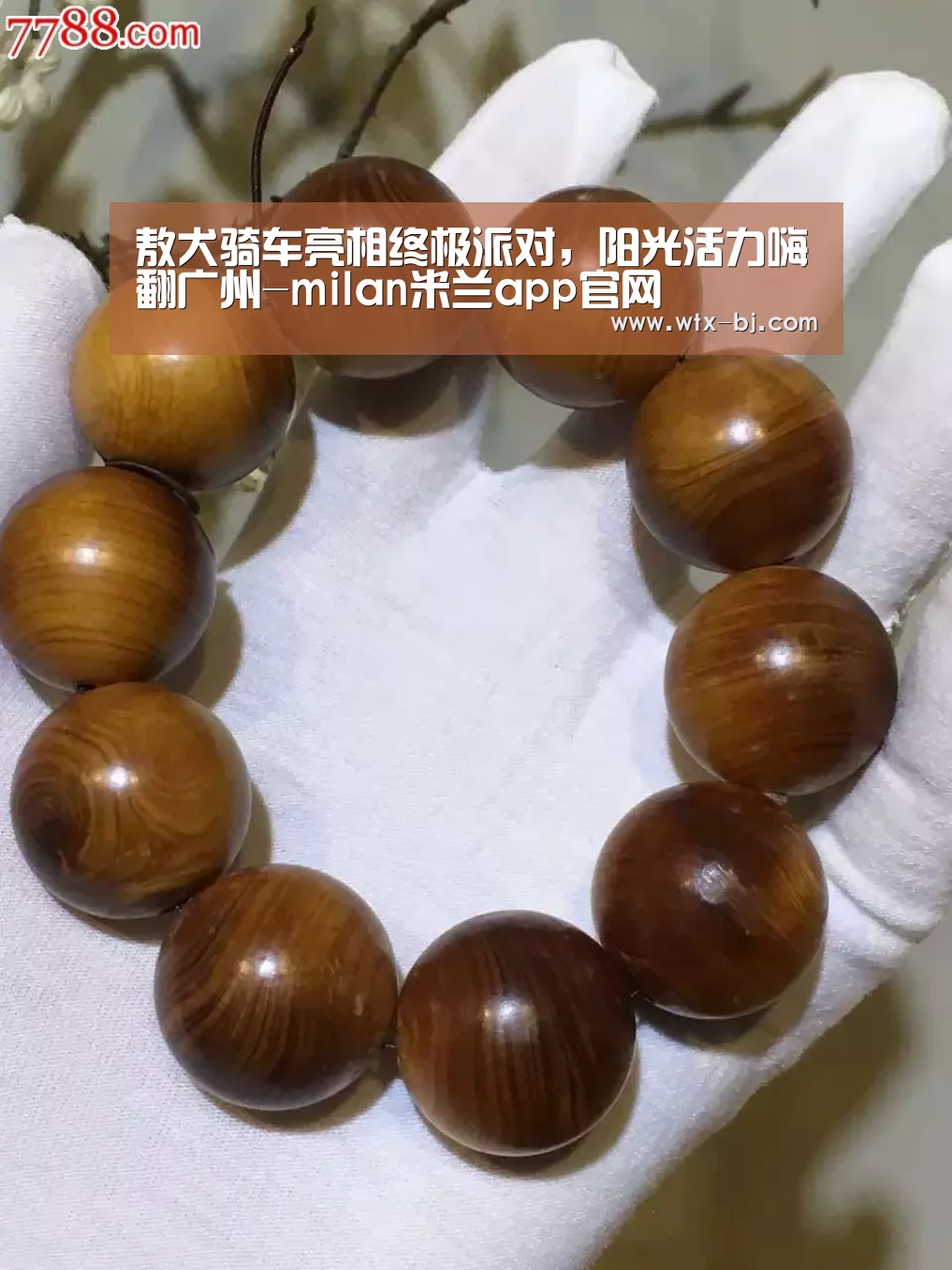 敖犬骑车亮相终极派对,阳光活力嗨翻广州-milan米兰app官网(图3) 米兰官方网站