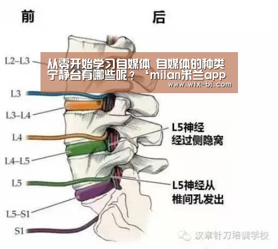 从零开始学习自媒体 自媒体的种类宁静台有哪些呢?‘milan米兰app官网’(图1) milan米兰app官网