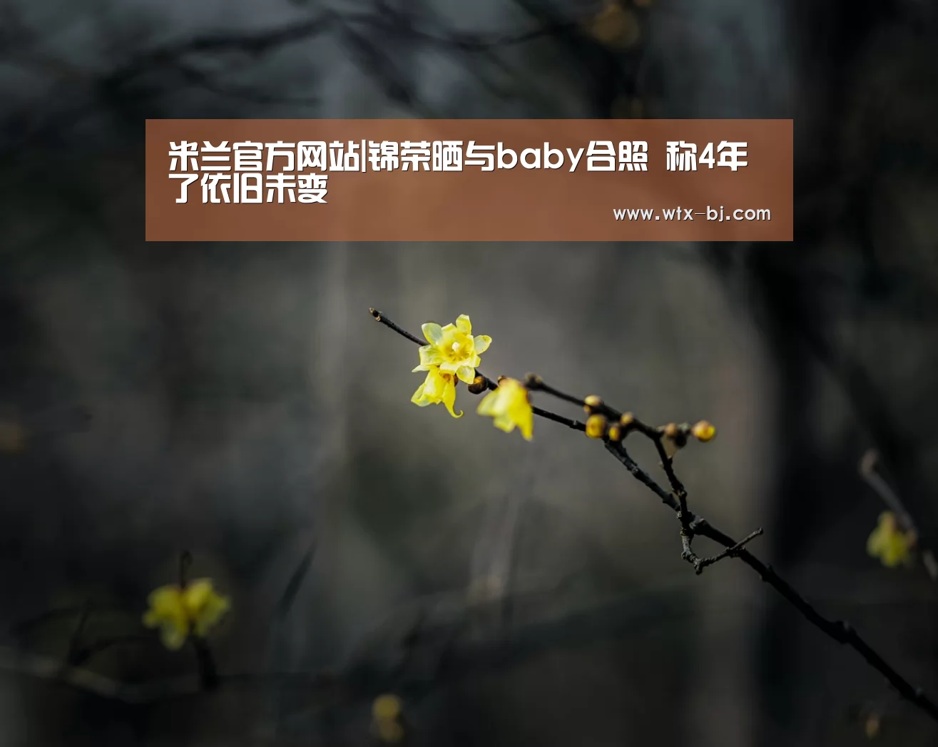 米兰官方网站|锦荣晒与baby合照 称4年了依旧未变(图4) milan米兰