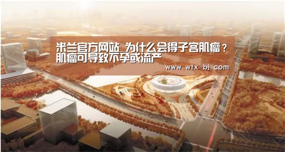 米兰官方网站_为什么会得子宫肌瘤?肌瘤可导致不孕或流产(图2) milan米兰app官网