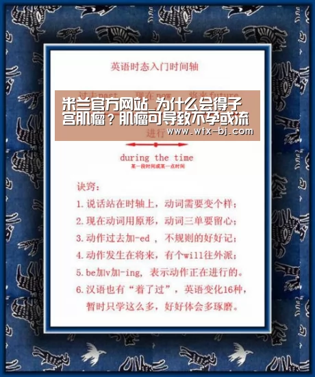 米兰官方网站_为什么会得子宫肌瘤?肌瘤可导致不孕或流产(图4) milan米兰app官网