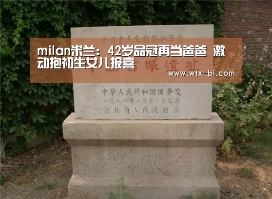 milan米兰app官网