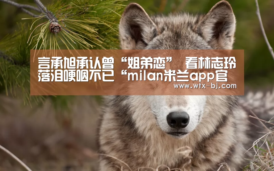 milan米兰app官网