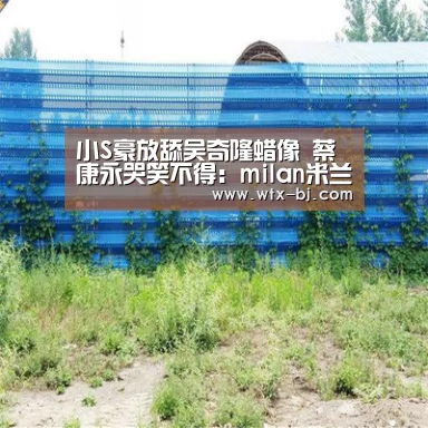 小S豪放舔吴奇隆蜡像 蔡康永哭笑不得:milan米兰(图3) milan米兰