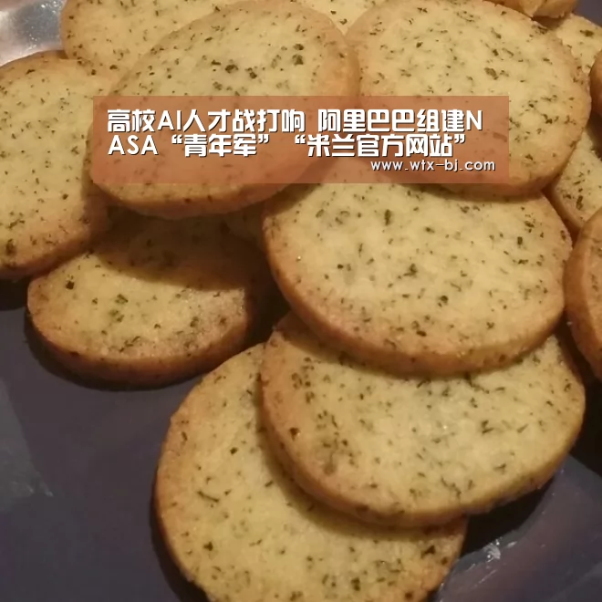 milan米兰