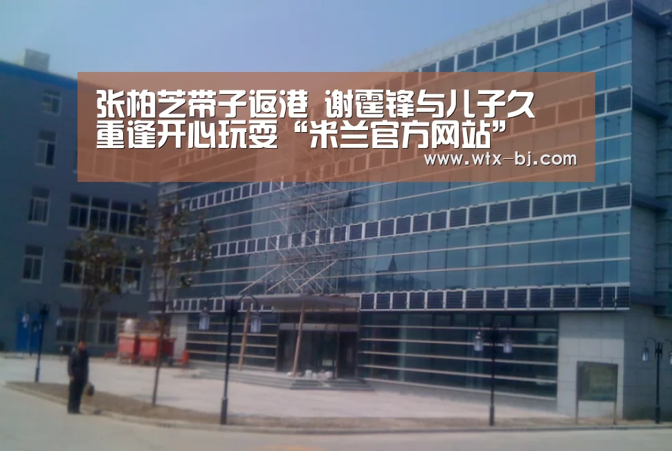 张柏芝带子返港 谢霆锋与儿子久別重逢开心玩耍“米兰官方网站”(图3) milan米兰