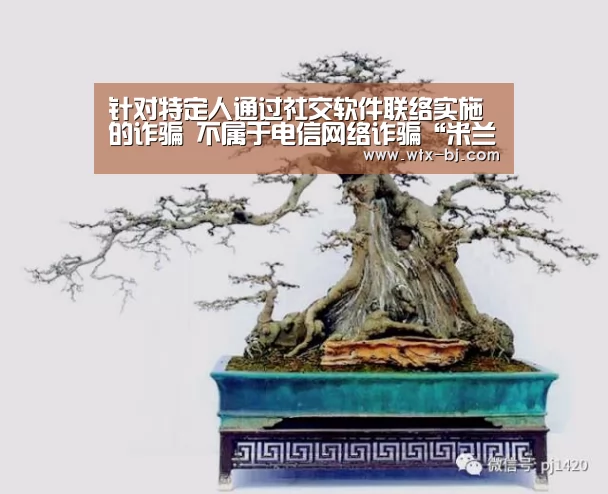 针对特定人通过社交软件联络实施的诈骗 不属于电信网络诈骗“米兰官方网站”(图3) 米兰官方网站