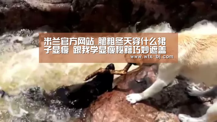 米兰官方网站_腿粗冬天穿什么裙子显瘦 跟我学显瘦秘籍巧妙遮盖粗腿(图1) 米兰官方网站