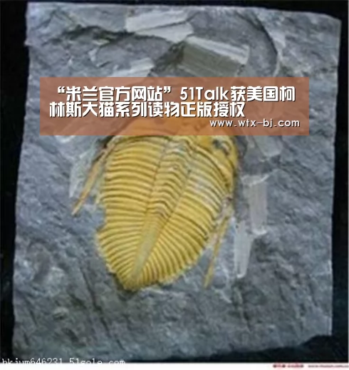 “米兰官方网站”51Talk获美国柯林斯大猫系列读物正版授权(图2) milan米兰