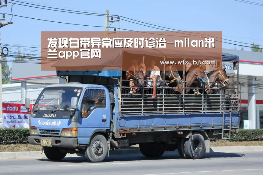 发现白带异常应及时诊治-milan米兰app官网(图1) 米兰官方网站
