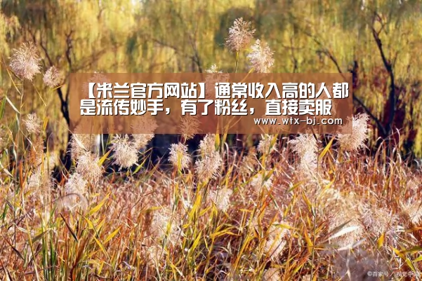 【米兰官方网站】通常收入高的人都是流传妙手,有了粉丝,直接卖服务卖产物(图2) milan米兰